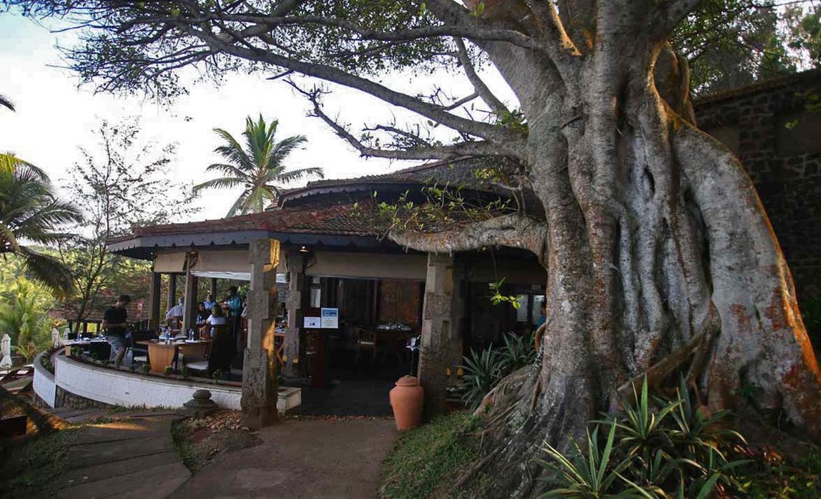Niraamaya Wellness Retreats, Surya Samudra, Kovalam Exterior foto